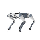 Deep Robotics Lite3 – Cão-robô quadrúpede para fins académicos e de investigação