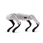 FX Navi vierbeiniger Roboter