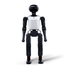 Robot humanoide FF Master Mini