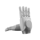 Mano diestra reforzada AgiBot OmniHand 3 Lite