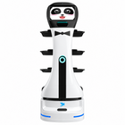 Alpha Panda Delivery Robot