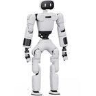 AGIBOT Q1 Kompakt İnsansı Robot